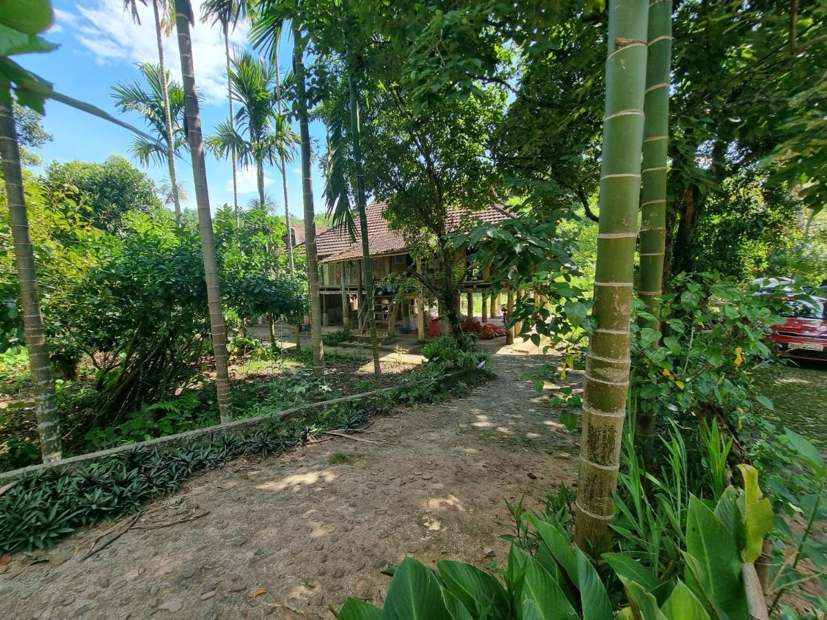 Muong Bi Homestay Hòa Bình Eksteriør bilde