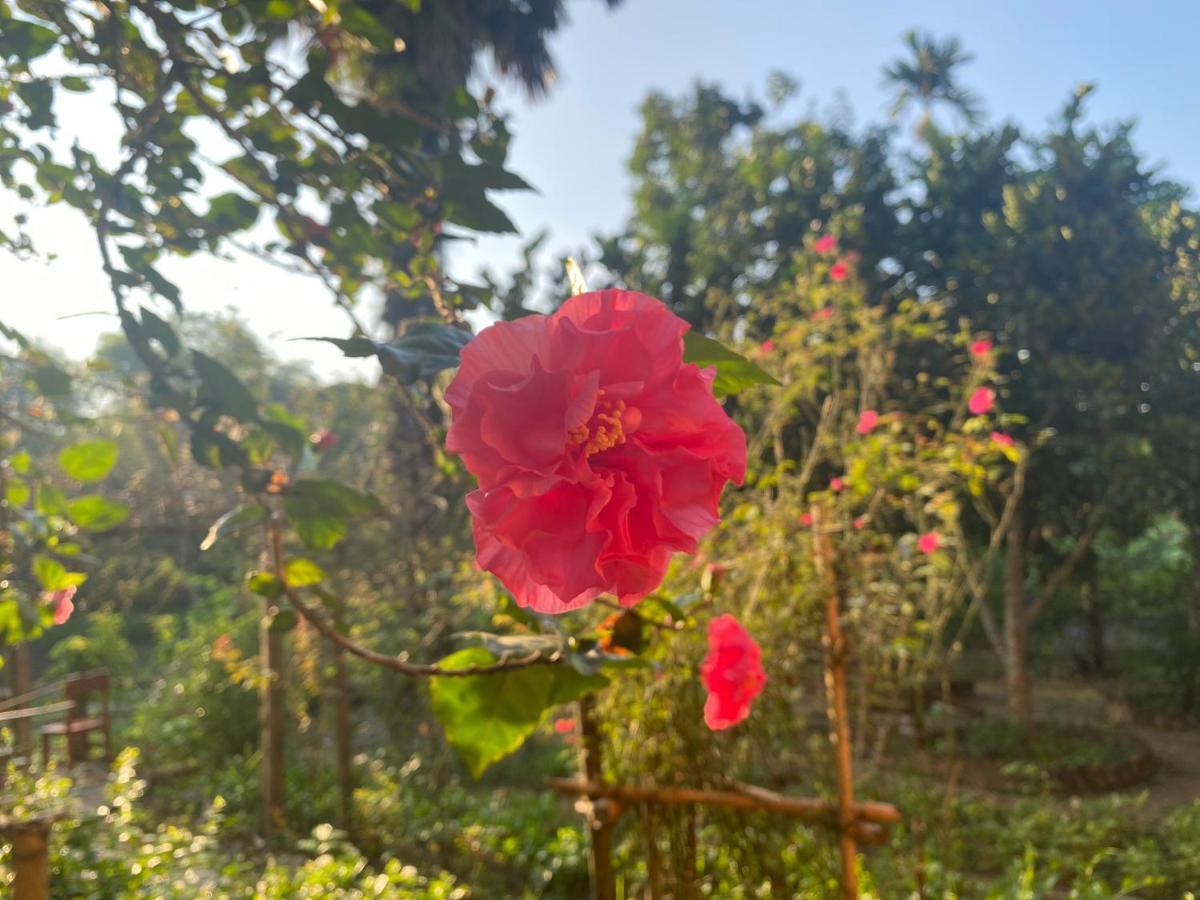 Muong Bi Homestay Hòa Bình Eksteriør bilde