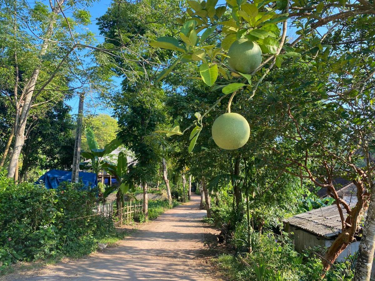 Muong Bi Homestay Hòa Bình Eksteriør bilde