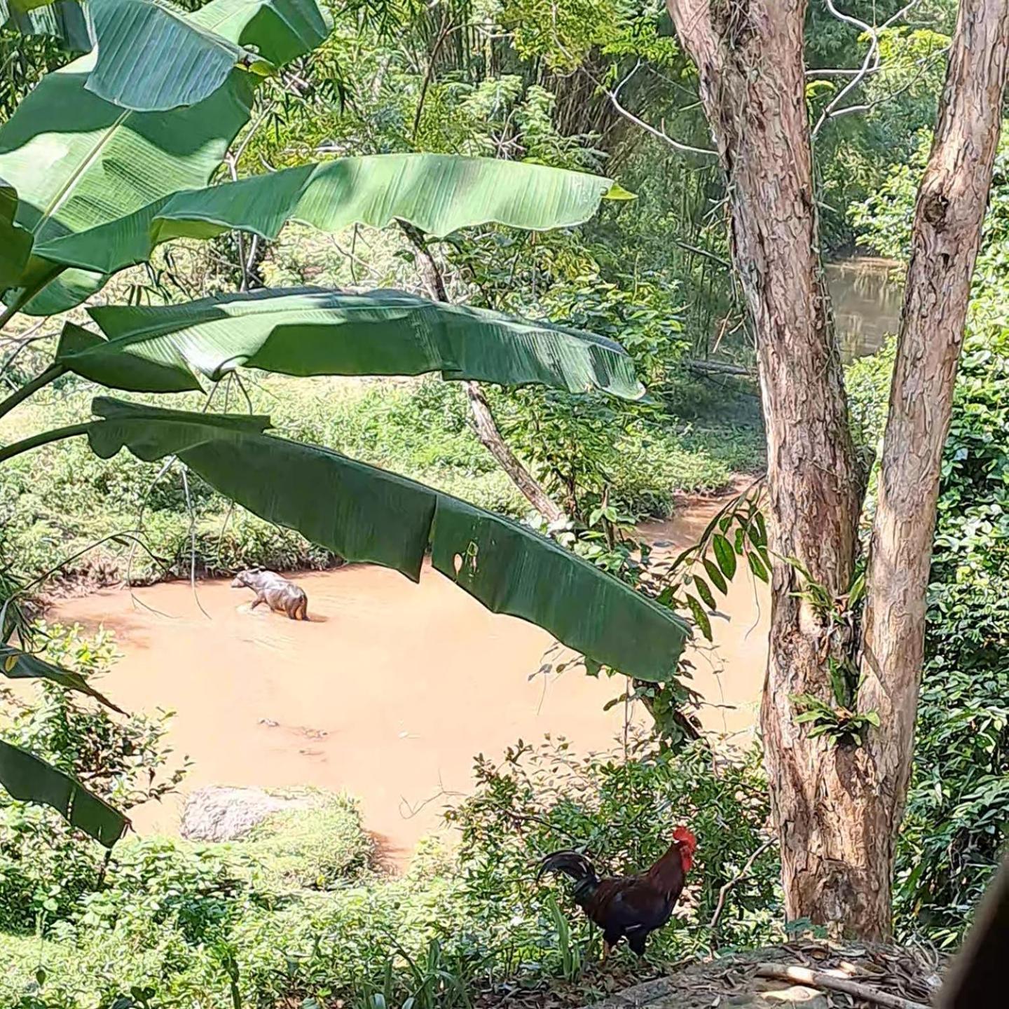Muong Bi Homestay Hòa Bình Eksteriør bilde