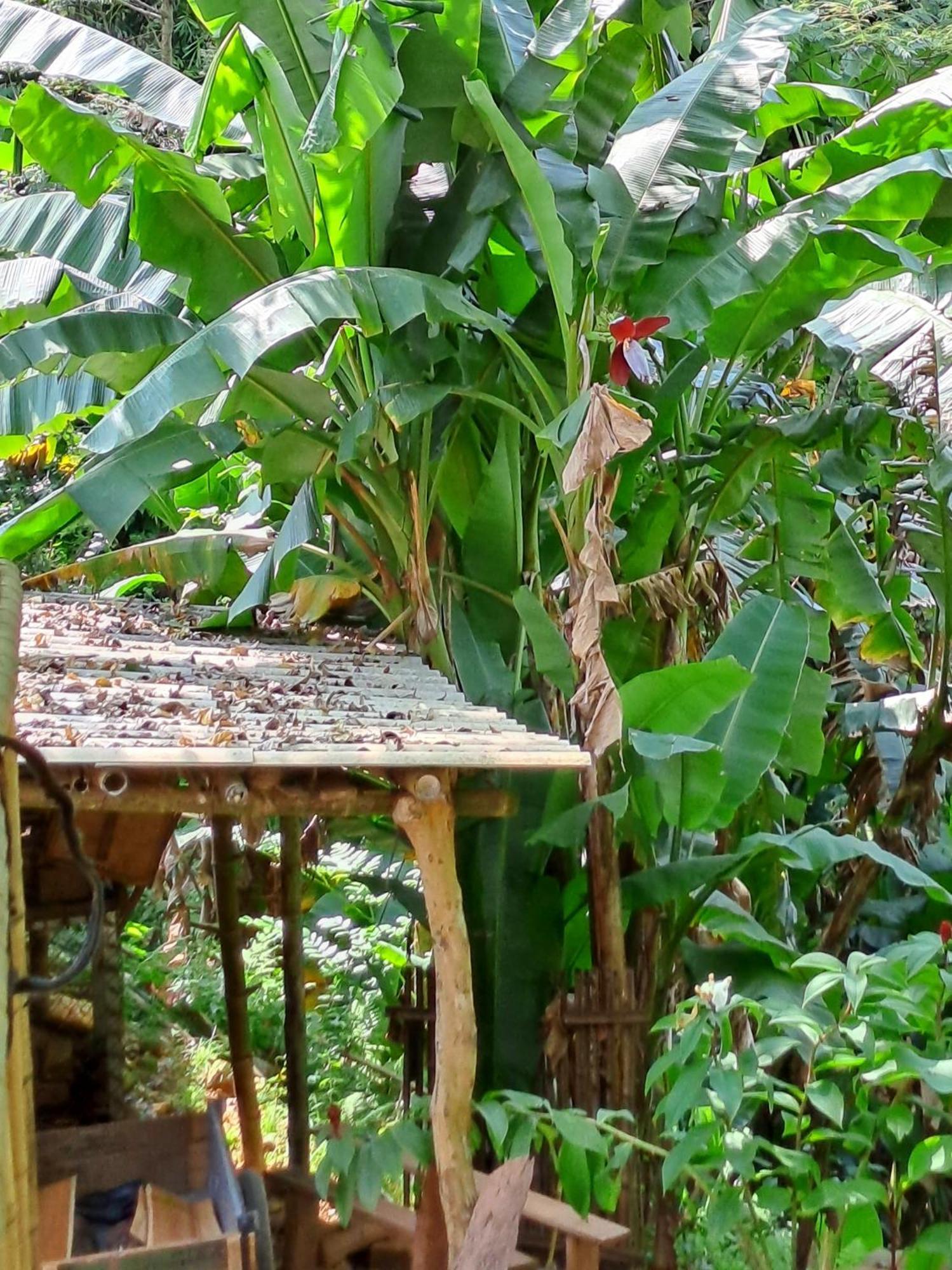 Muong Bi Homestay Hòa Bình Eksteriør bilde