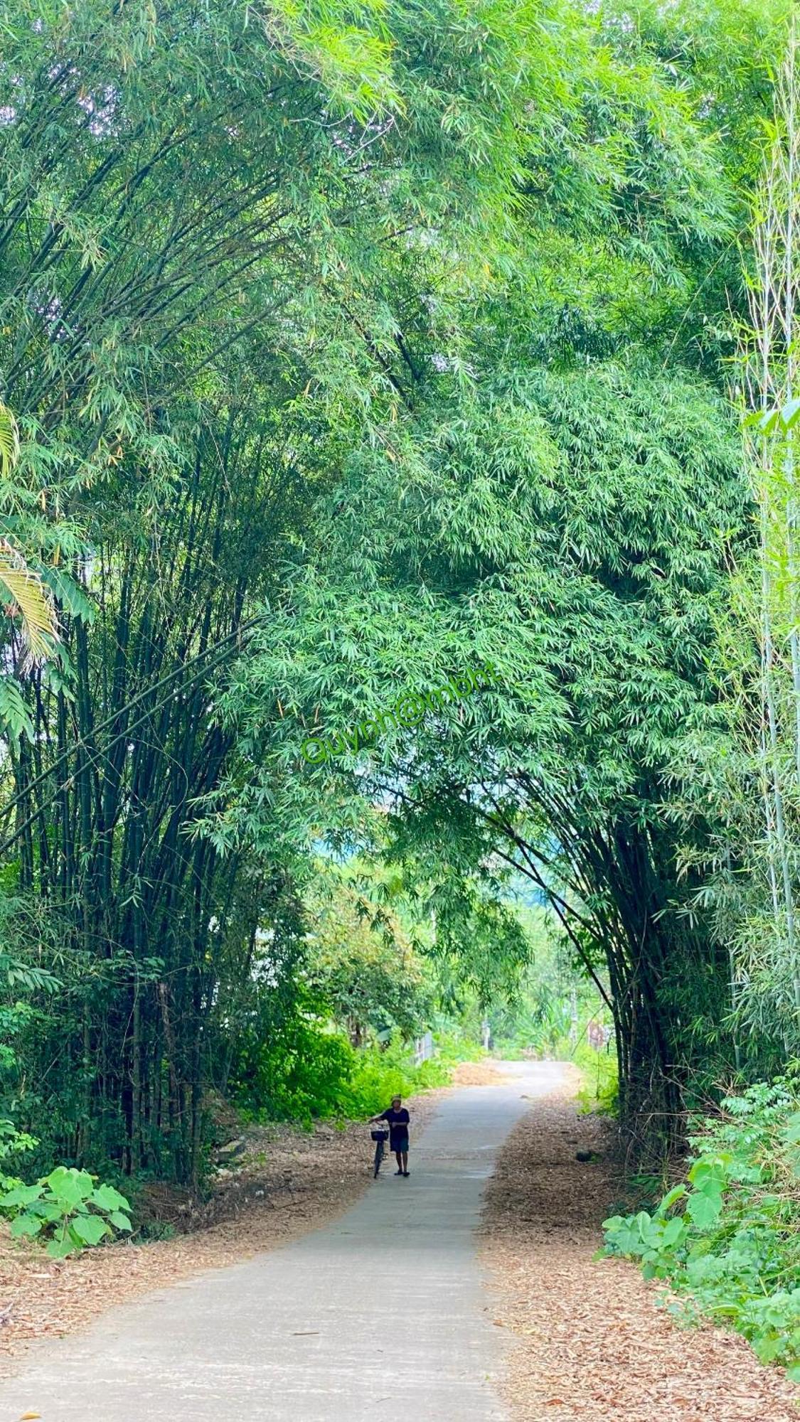 Muong Bi Homestay Hòa Bình Eksteriør bilde
