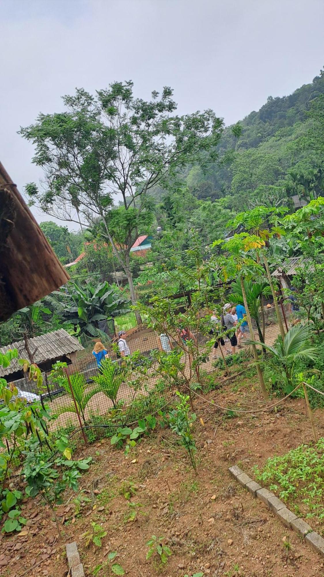 Muong Bi Homestay Hòa Bình Eksteriør bilde