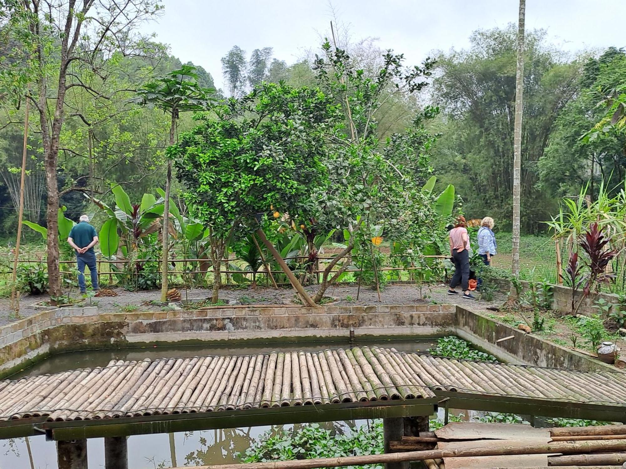 Muong Bi Homestay Hòa Bình Eksteriør bilde